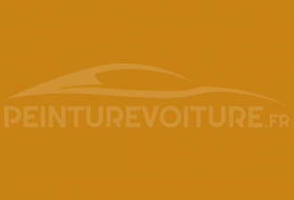 Code peinture Blmc-Rover BLYL 61 Mustard Yellow