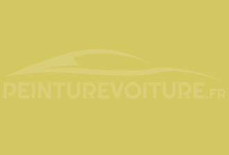Code peinture Blmc-Rover BLYL 9 Highway Yellow