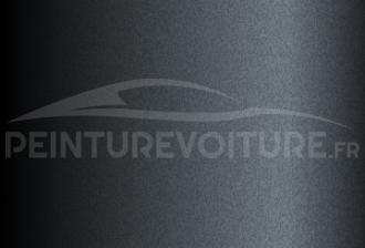 Code peinture Ford BMU Smoke Grey