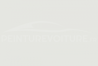 Code peinture CHERY AUTOMOBILE BR Artic White
