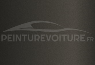 Code peinture Fiat BU0831 Grey Matt