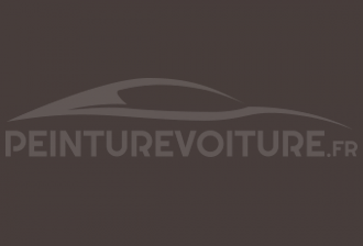 Code peinture Hyundai BUMPER Grey Bumper Matt