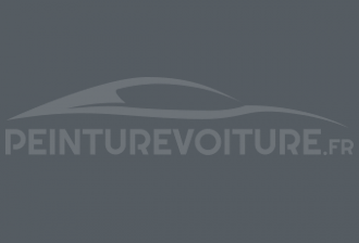 Code peinture Daf BUMPERS Grigio