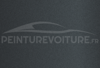 Code peinture Caterham C009 Nimbus Grey