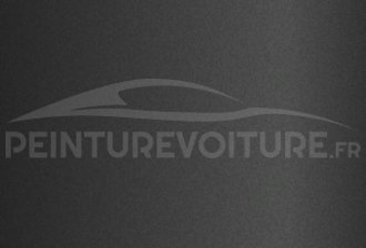 Code peinture Lotus C137 Carbon Grey