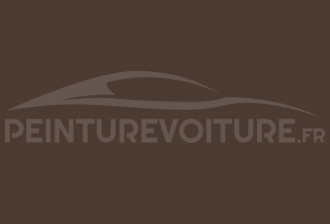 Code peinture Mitsubishi C15 Dark Brown