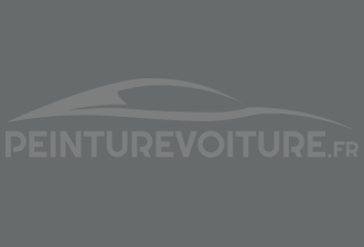 Code peinture Lotus C172 Vortex Grey
