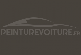 Code peinture Lotus C216 Battleship Grey