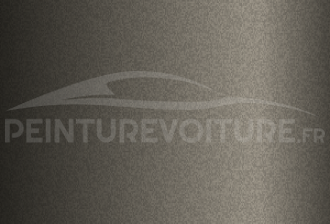 Code peinture Nissan C31 Greyish Brown