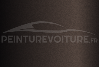 Code peinture Bmw C5C Frozen Black Brown Matt