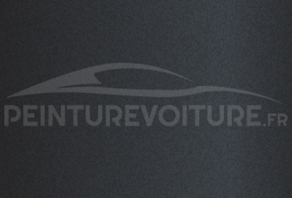 Code peinture Bmw C5X Dark Grey