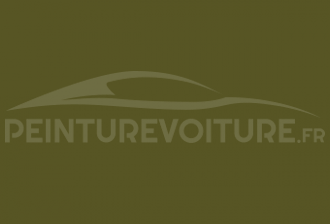 Code peinture Mitsubishi C65/10565 Jackson Olive