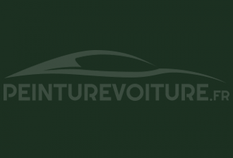 Code peinture Renault C93 Vert