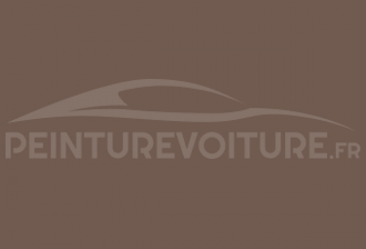 Code peinture Mitsubishi C96 Brown