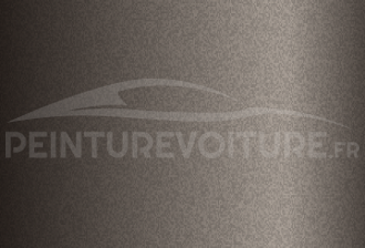 Code peinture Nissan CAB Grayish Brown