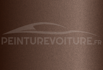 Code peinture Nissan CAG Light Brown