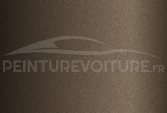 Code peinture Nissan CAK Brown