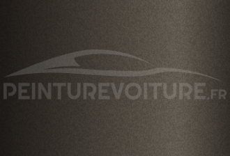 Code peinture Nissan CAP Bronze Ultime