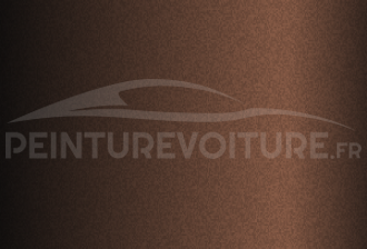 Code peinture Nissan CAS Dark Brown