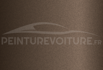 Code peinture Nissan CG0 Brown