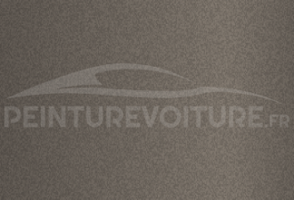 Code peinture Hyundai CP Champagne