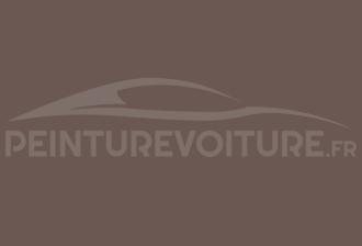 Code peinture Nissan CR1 Brown