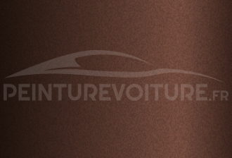 Code peinture Nissan CS2 Bronze