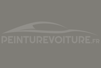 Code peinture Subaru CS9V Grey (int.)