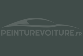 Code peinture Subaru CS9Y Greenish Grey (int.)