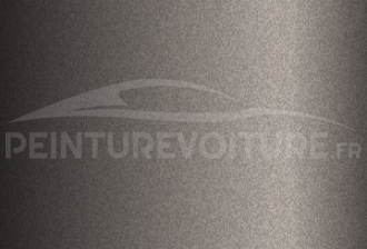 Code peinture Nissan CV1 Taupe
