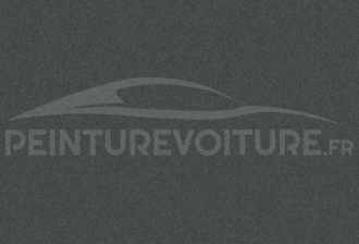 Code peinture Isuzu D-MAX Royal Grey Opaco