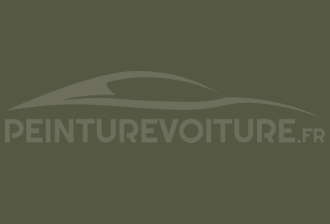 Code peinture Nissan D12 Tank Green