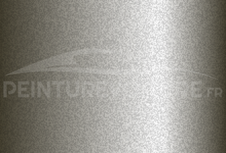 Code peinture Renault D13 Nuage