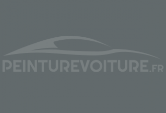 Code peinture Renault D63 Gris