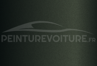 Code peinture Nissan D94 Krypton Green