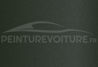 Code peinture Nissan DAQ Back Country Green