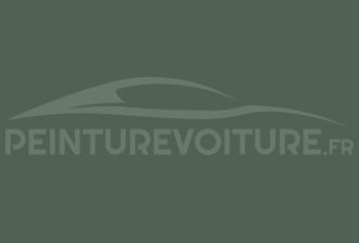 Code peinture Mercedes DB 229 Tundragruen
