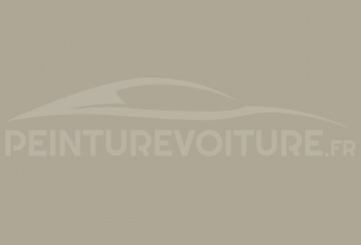 Code peinture Mercedes DB 337 - DB 7337 Kieselgrau Matt