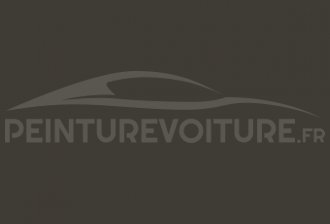 Code peinture Mercedes DB 7113 Bibergrau
