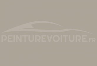 Code peinture Mercedes DB 730 Nebelgrau