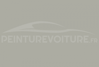 Code peinture Mercedes DB 7318 Achatgrau