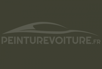 Code peinture Mercedes DB 985 (6985) Darkgreen Matt
