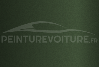 Code peinture Chrysler / Jeep DF6 Forest Green