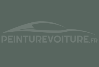 Code peinture Nissan DJ0 Olive Grey D.s.