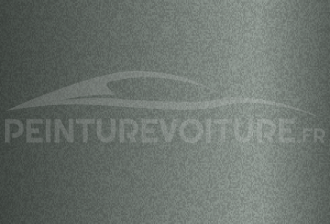 Code peinture Nissan DJ3 Greyish Light Grey