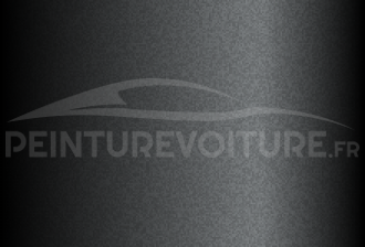 Code peinture Ford DKTC Sterling Grey