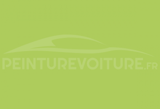 Code peinture Renault DNA Vert