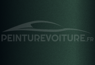 Code peinture Dacia DNH Vert Vetiver