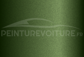 Code peinture Renault DNK Vert Cactus - Vert Printemps
