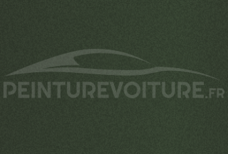 Code peinture Renault DQZ Vert Olive